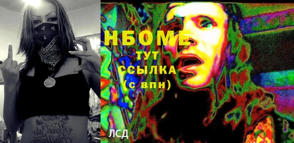 хмурый Алзамай