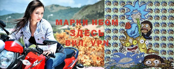 хмурый Алзамай